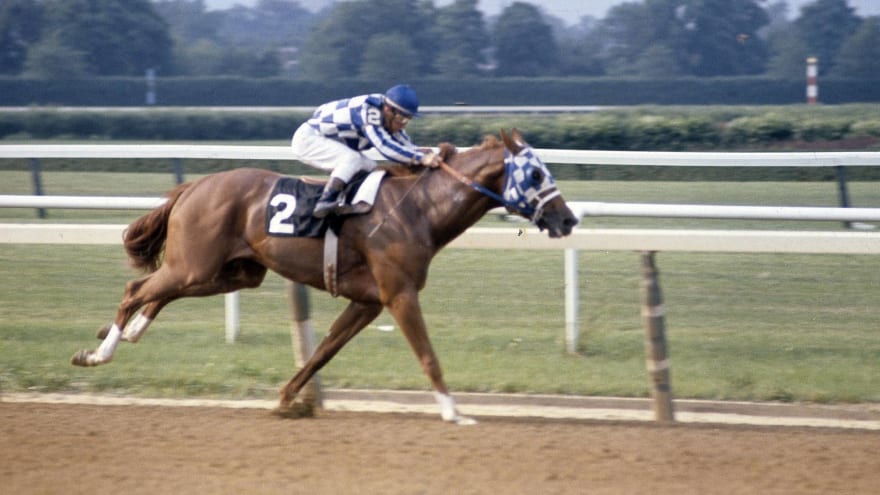 The 'Belmont Stakes winners' quiz